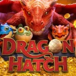 dragon hatch 3 web 3 Auto Slot PG .com เว็บตรง สล็อต PG อันดับ 1 ฝากถอนออโต้ มั่นคง ปลอดภัย